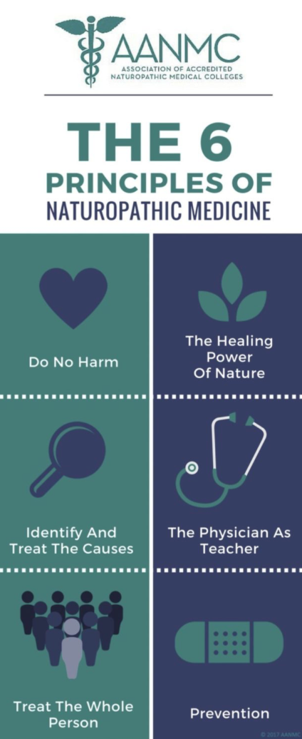 Principles of naturopathic medicine