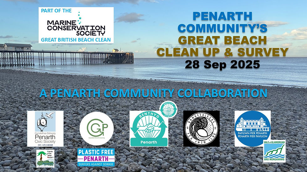 Penarth Beach Clean and Survey - for the Marine Conservation Society Great British Beach Clean Up!