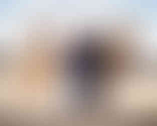 Riders standing with horses on a sunny evening in an open lot.