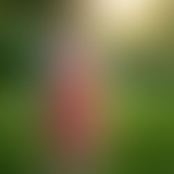 Jodi & Chris | Engagement Session at Two Rivers State Rec Area