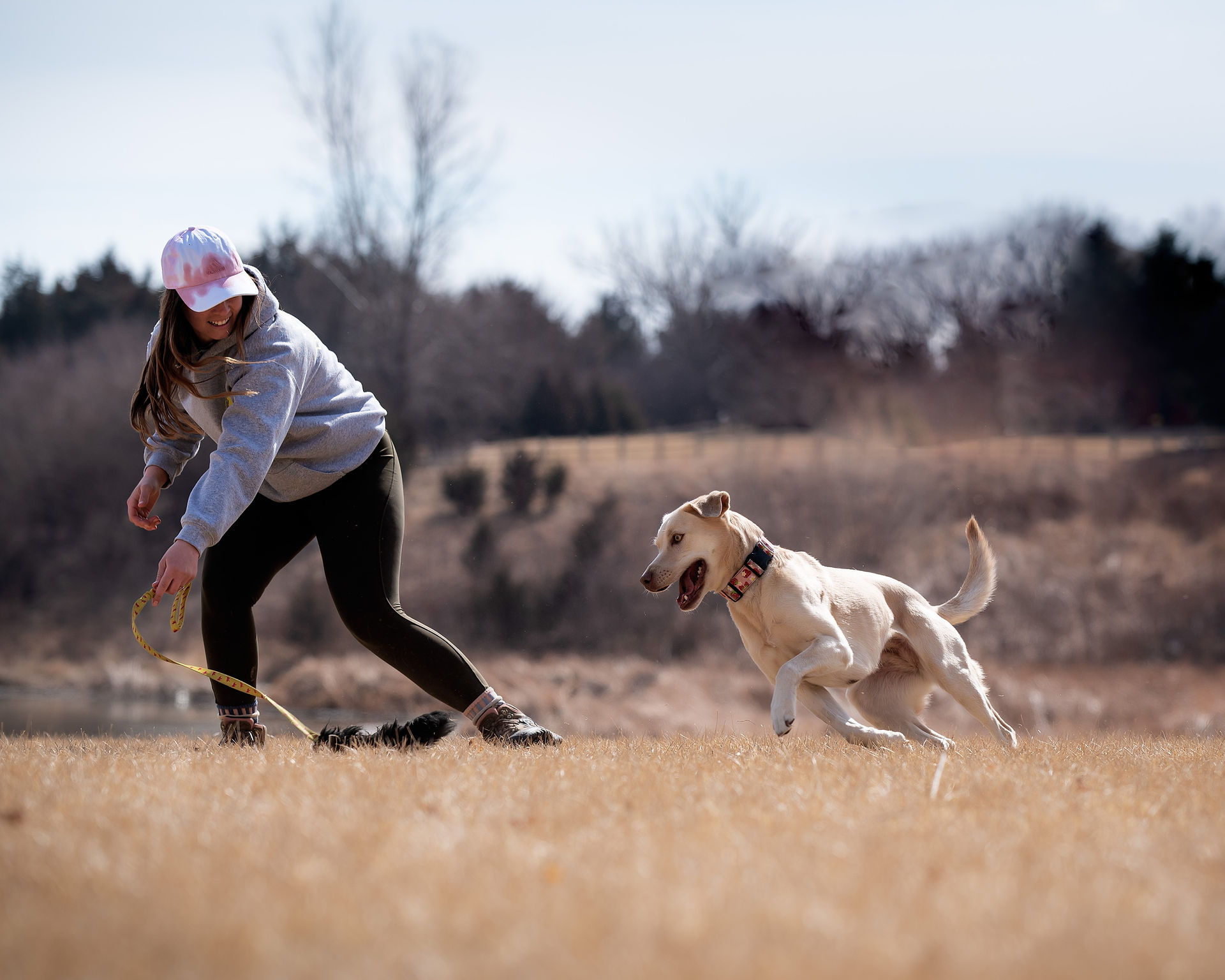 Emilee Envision K-9 doing drills with her dog