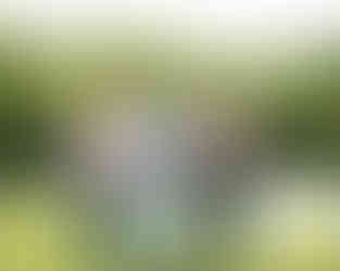 Grandfather standing with his two sons holding their sons in an open field in front of of a lake for extended family gathering event.