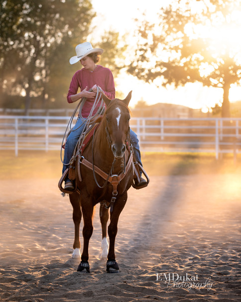 Female roper on her horse at dusk