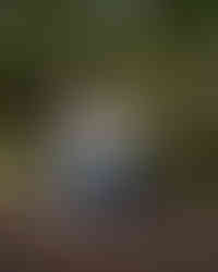 A high school senior boy kneeling next to his dog and holding his riffle. 