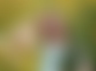 How to Plan a Portrait Session You Will Actually Love | Nebraska Family & Equine Photographer