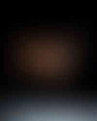 Beautiful horse standing stoic against a black background. 