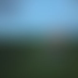 Lindsay | Boho Cowgirl Portraits