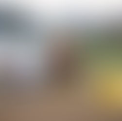 Agnes Dukat runs her horse Mabloom home on the barrel racing pattern