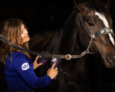 Becca Fellman brushing down her horse before a ride.