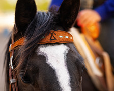 Close up of Becca Fellman's flying triangle brand on a headstall.