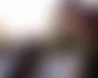 Curly haired Shepard looking at owner while sitting on vintage couch 