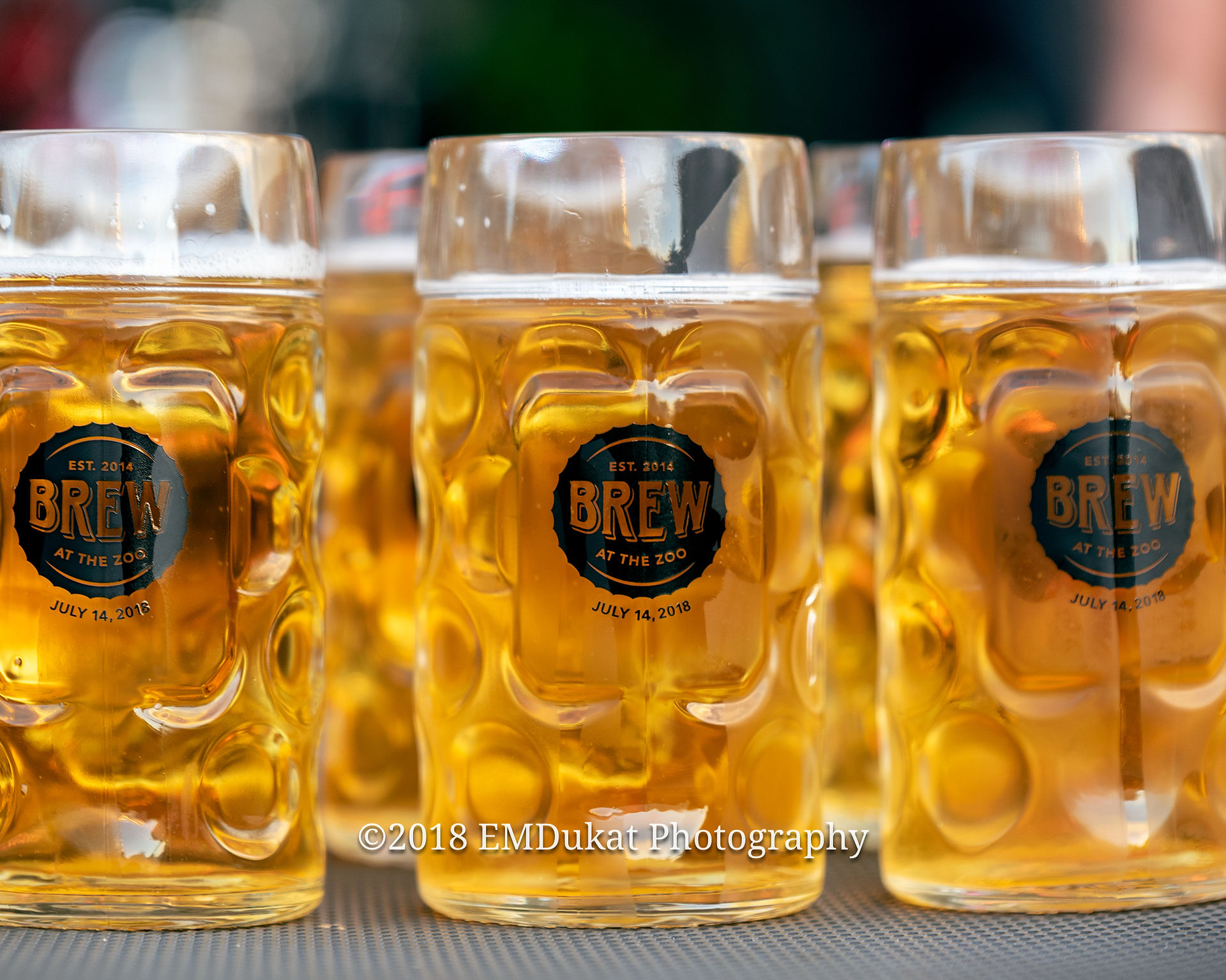 pint glasses glisten before beer holding contest during "Brew at the Zoo" at Omaha's Henry Doorly Zoo