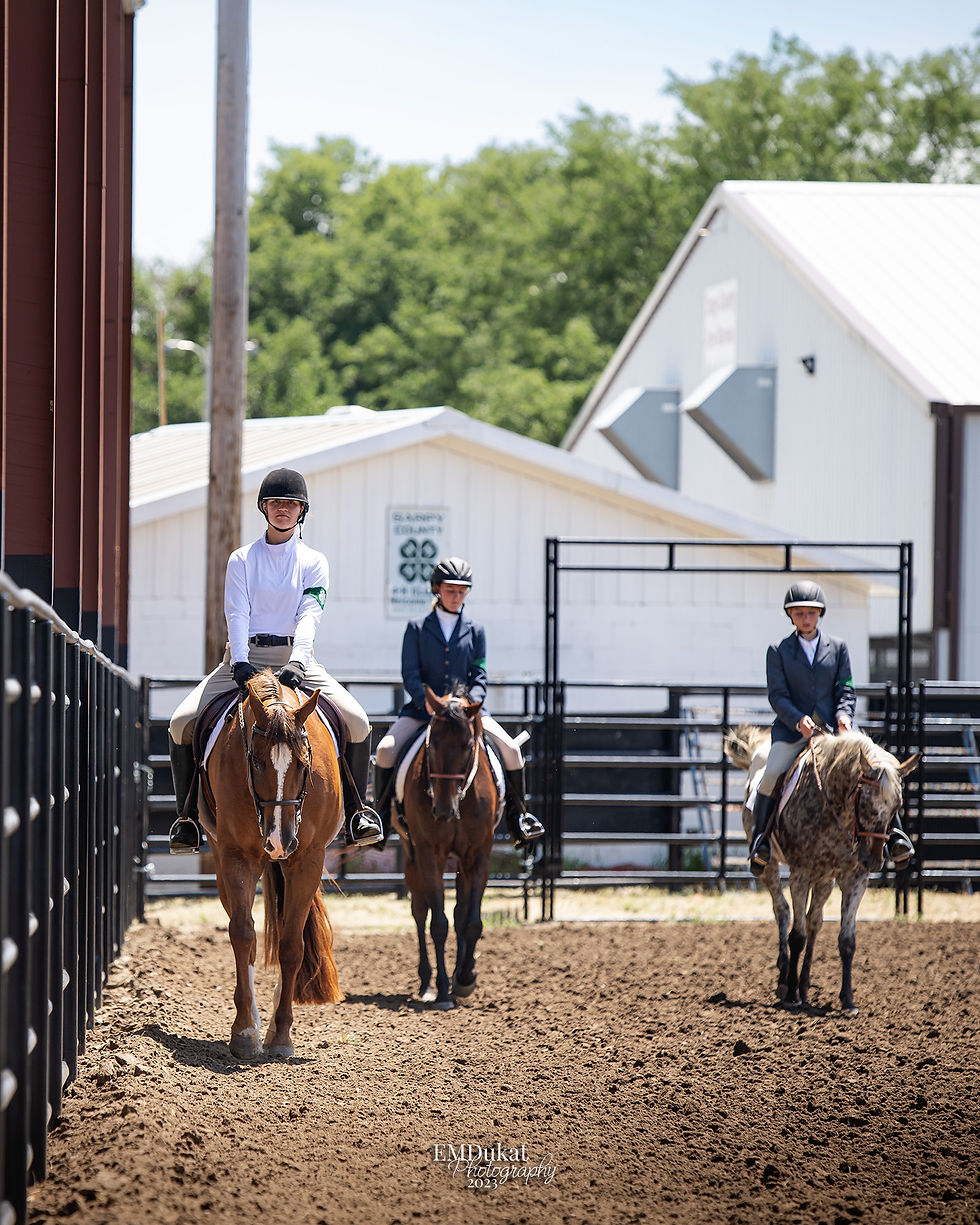 Youth 4H English riders riding rail work at the Douglas-Sarpy County 4H Horse Show in Springfield, NE.