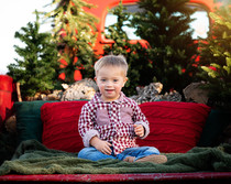 toddler boy sitting for rustic winter pickup session 