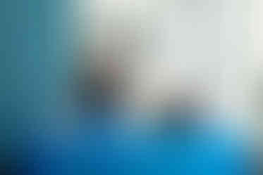 small business professionals networking