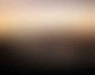 Nebraska sunset highlighting the horses' coats with riders standing between them. 