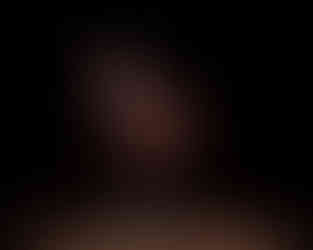 Dark brown horse standing in the stable floor with blacked out background for horse photo session in Ashland, Nebraska.