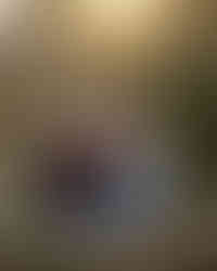 A brother and sister are sitting in a field with the sun setting behind them. 