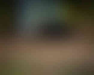 Black lab laying down next to owner 