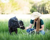 Woman squats down next to a calf in a grassy field.