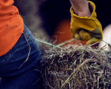 HAY_7404Dlogo.jpg
