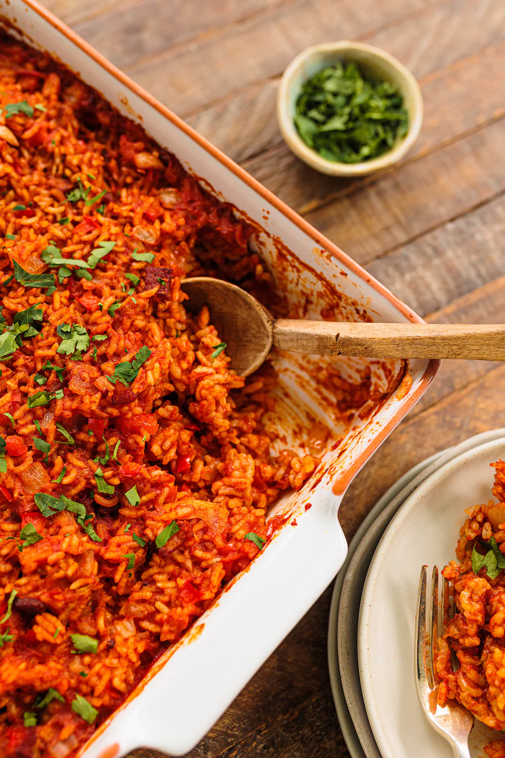 Rice dish on kitchen counter