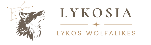 NEW LOGO FINAL wide copy.png
