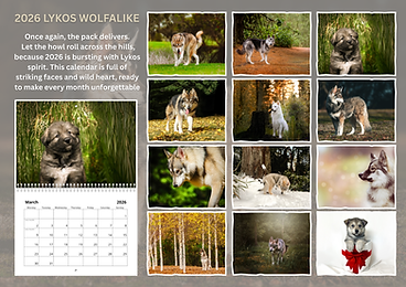 2026 calender final.png