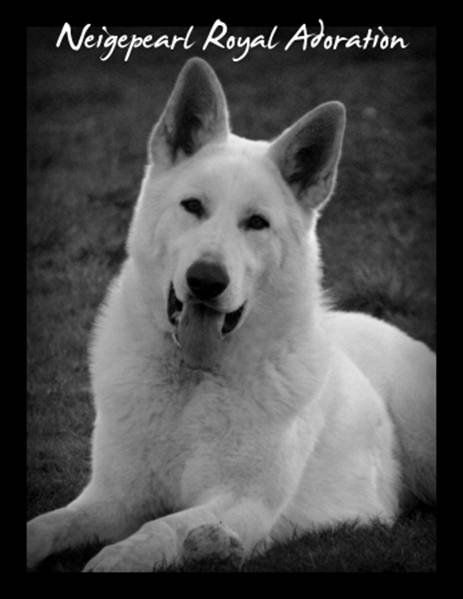 Balto