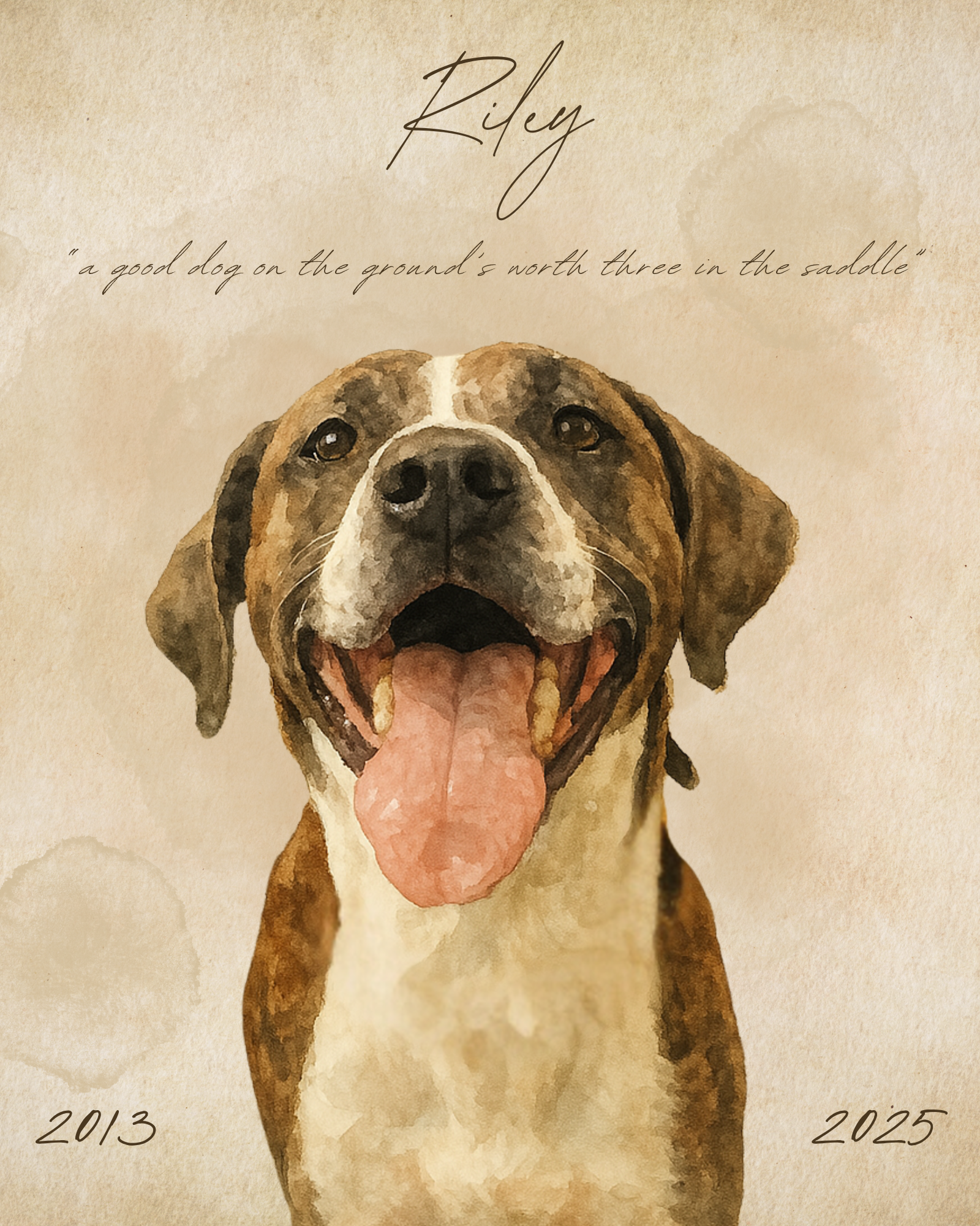 Commemorative Pet Design