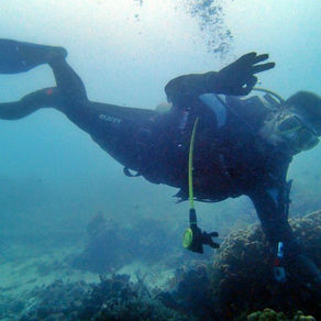 Belajar menyelam yuk, berguna buat para pecinta vitamin sea