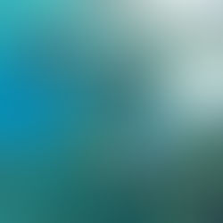 Dibalik jernihnya air danau dua rasa Labuan Cermin di Berau, Kalimantan Timur