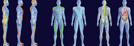 logo_figures-1024x404_edited_edited.jpg