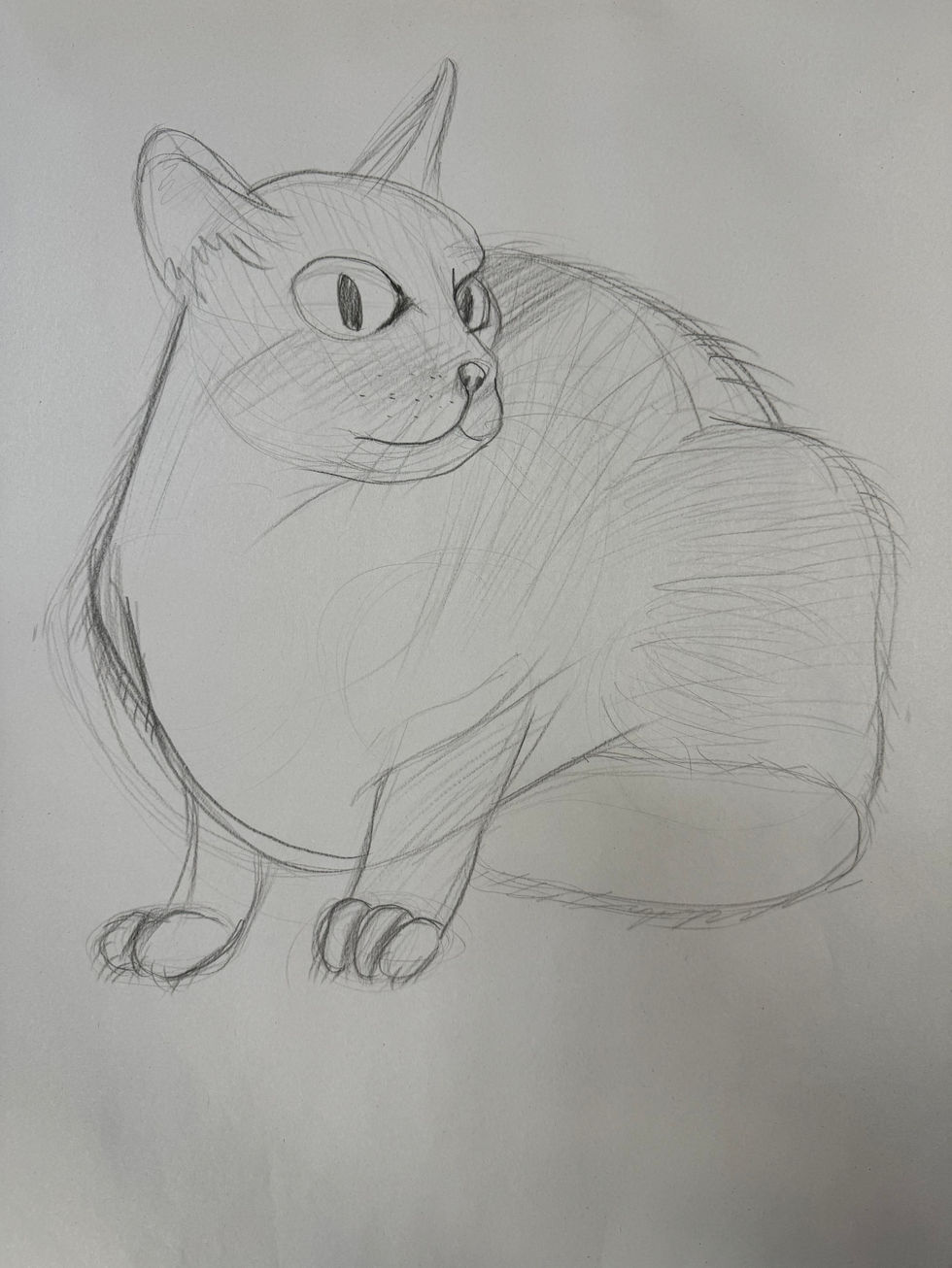 25 Minute Cat Drawing