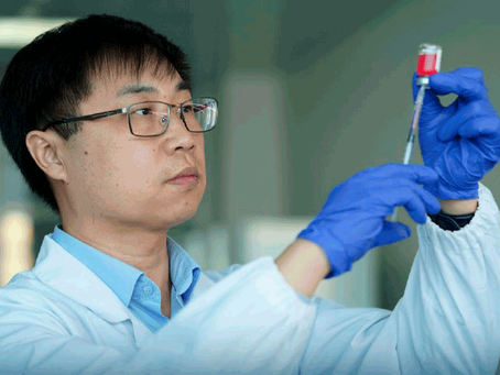 Казахстанский ученый разработал уникальный гидрогель, ускоряющий восстановление сложных переломов
