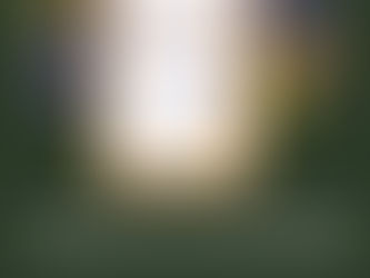 Опубликован список обладателей грантов в магистратуру