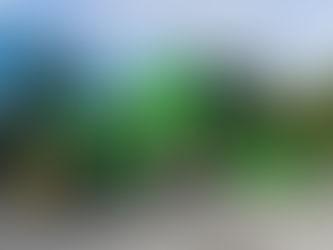 Современные комбайны и тракторы приобрели для колледжей Северо-Казахстанской области