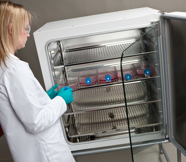 Laboratories & pathology