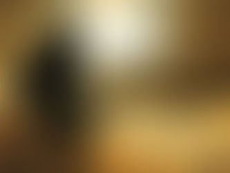 O menino Lobisomem - Maria Filomena