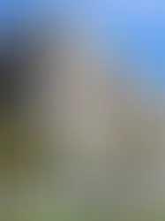 Episode 1 – Jury Duty 