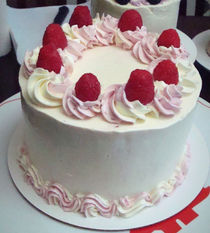 Summer Citrus Series: Berry Citrus Shortcake Observations