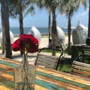 6 Things To Do in Orange Beach, AL