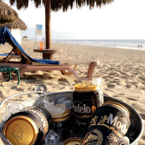 Spotlight: Puerto Vallarta, Mexico