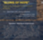 "Slums of hope" - Sanitising Silences in Trip-advisor Reviews