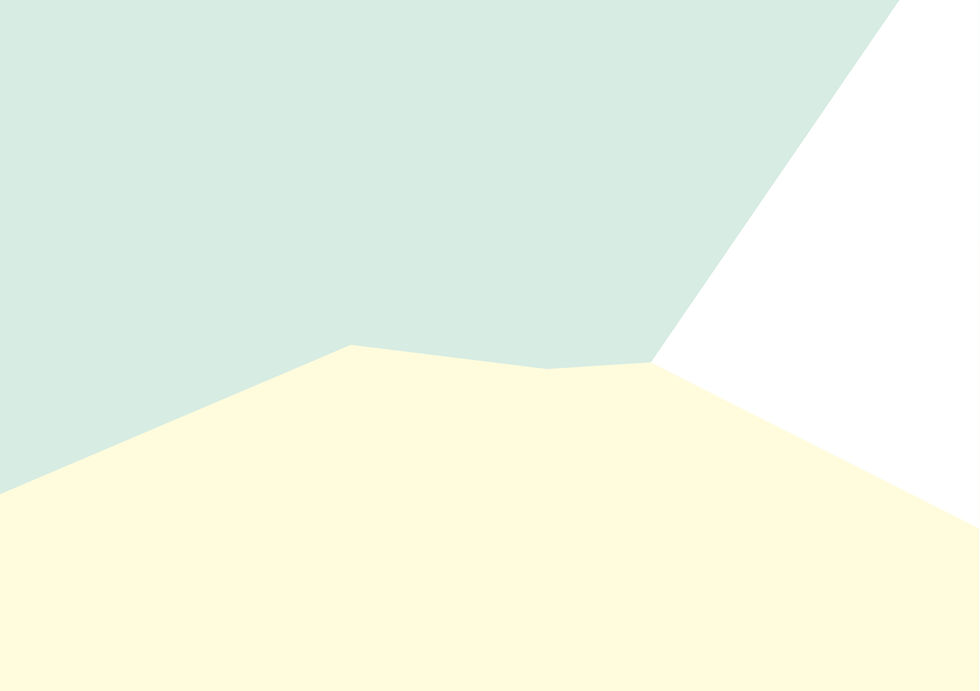 fond site web.jpg