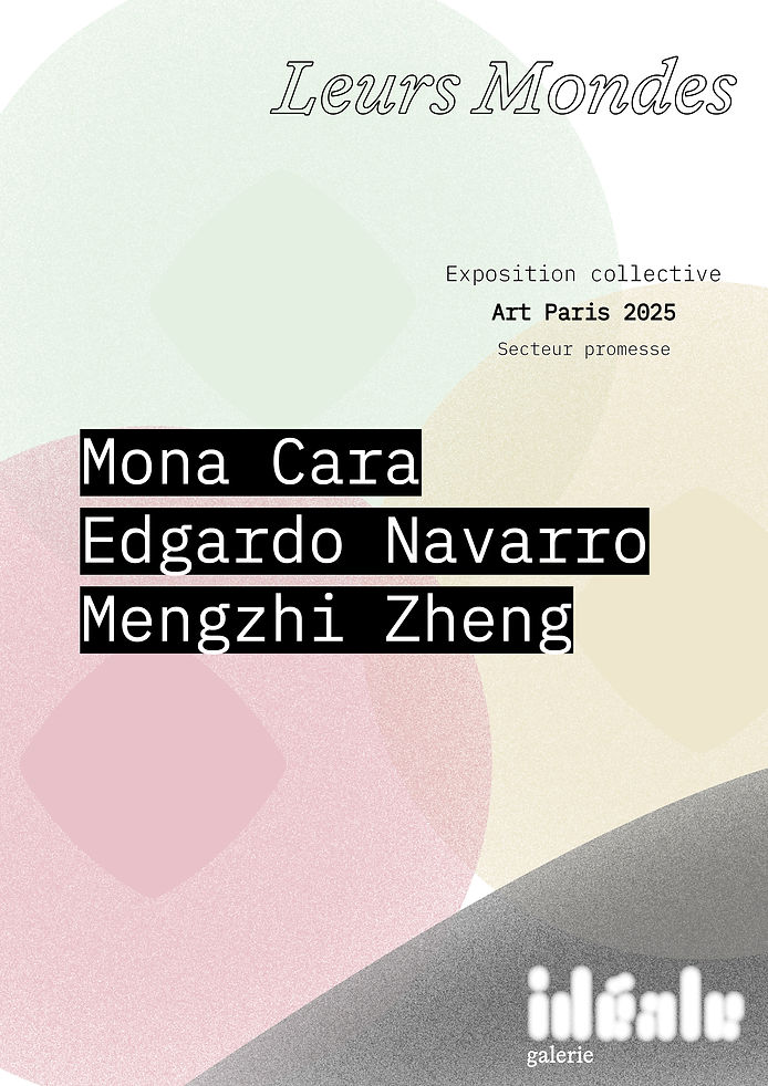 Art Paris _ Galerie Ideale.jpg