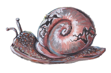 I live with a terrorist Artwork (no background).png