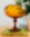 462374711_18020134517621163_4026724523809419591_n.jpg