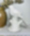 316801539_462300389282493_294740880033050436_n.jpg