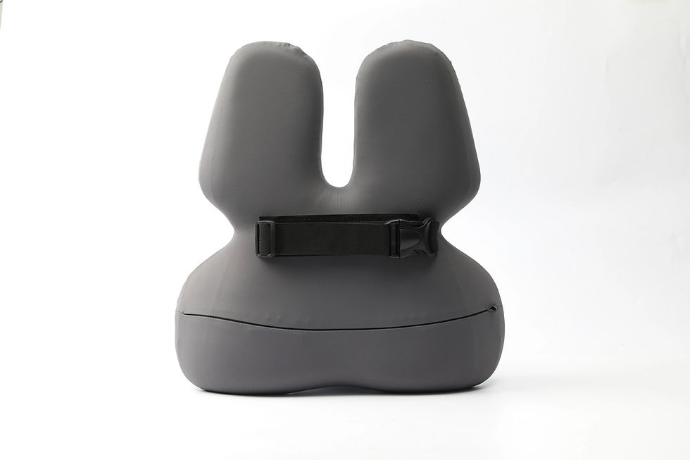 Thumbnail: כרית משענת גב אורטופדית OrthoBack